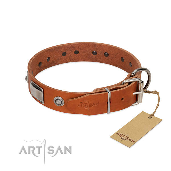 Impressive genuine leather collar with studs for your four-legged friend
