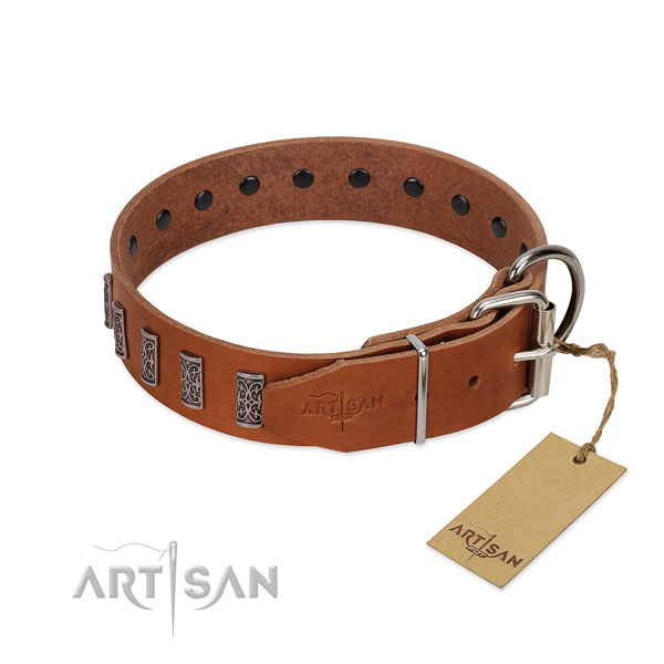 Rust resistant buckle on genuine leather dog collar for stylish walking your canine