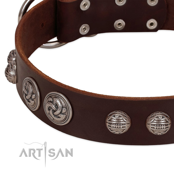 Strong fittings on full grain genuine leather collar for stylish walking your pet