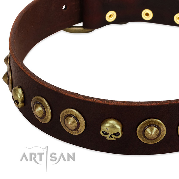 Inimitable adornments on natural leather collar for your four-legged friend