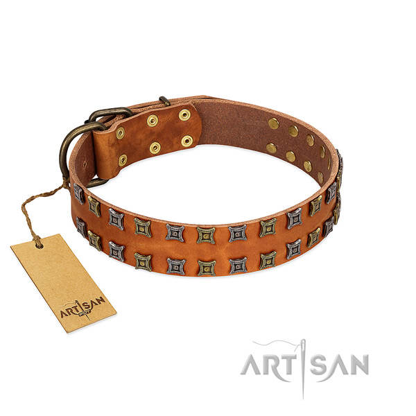 Reliable natural leather dog collar with studs for your canine