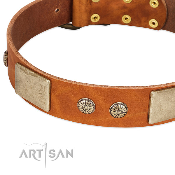 Rust-proof fittings on full grain genuine leather dog collar for your pet