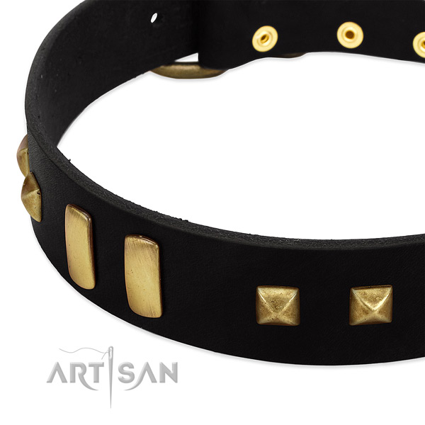 Soft to touch full grain leather dog collar with embellishments for everyday walking