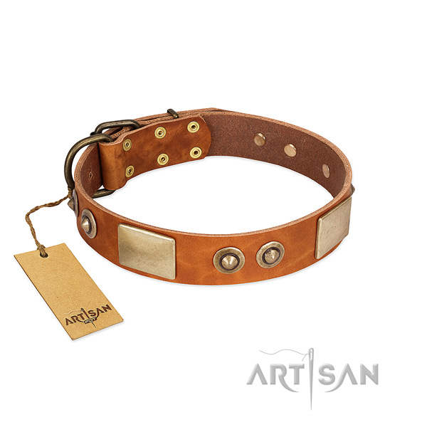 Easy to adjust full grain natural leather dog collar for basic training your doggie