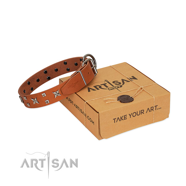 Quality full grain natural leather dog collar with studs for handy use