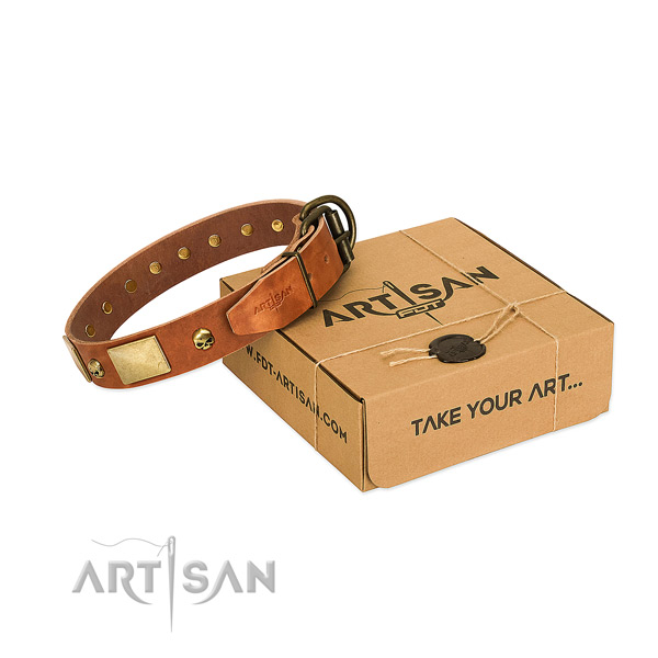 High quality full grain genuine leather collar with rust-proof embellishments for your dog