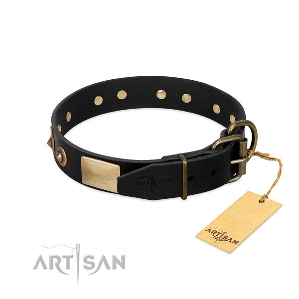 Rust resistant embellishments on daily walking dog collar
