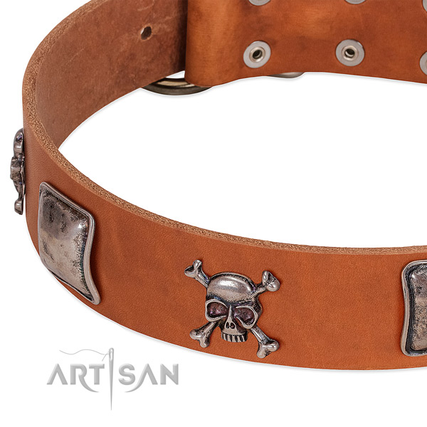 Durable traditional buckle on genuine leather dog collar