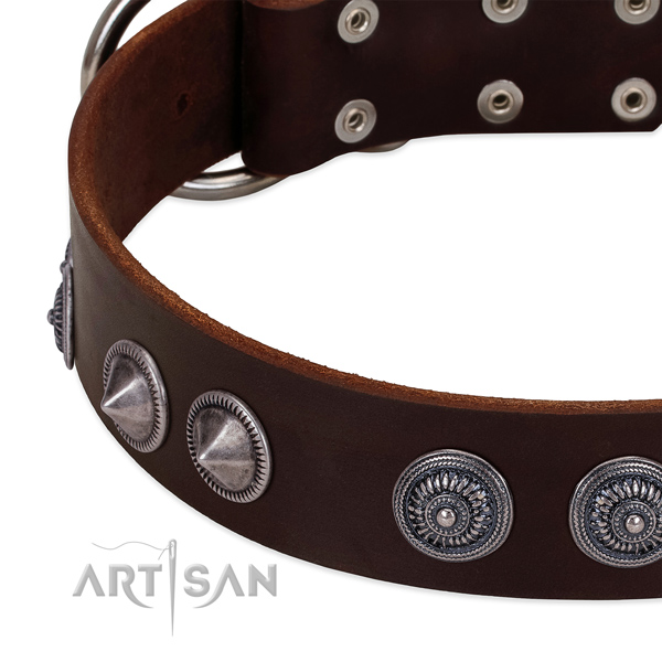 Soft to touch full grain genuine leather dog collar with awesome embellishments