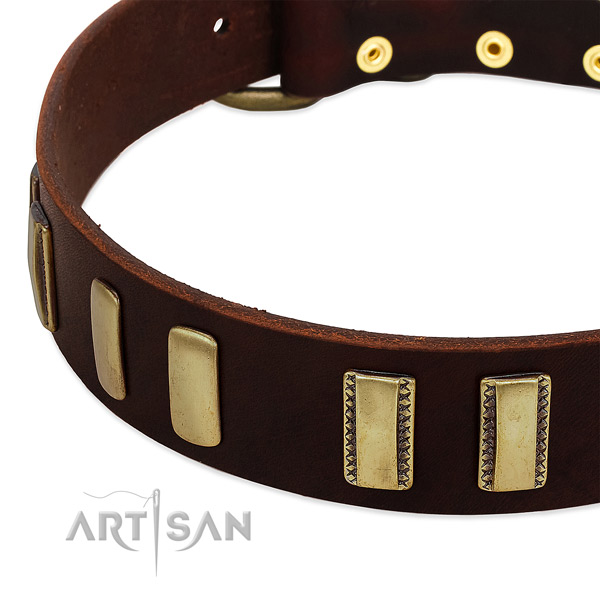 Full grain genuine leather dog collar with corrosion proof fittings for daily walking