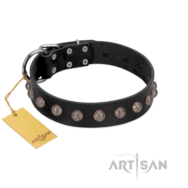 Rust resistant fittings on adjustable leather dog collar