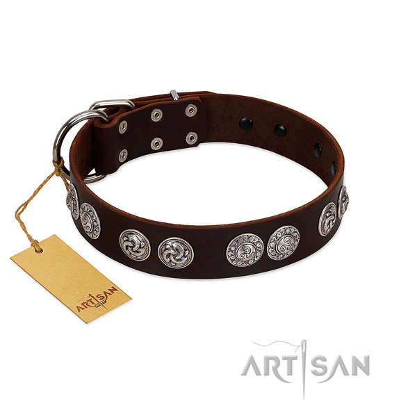 Amazing genuine leather collar for your doggie stylish walking
