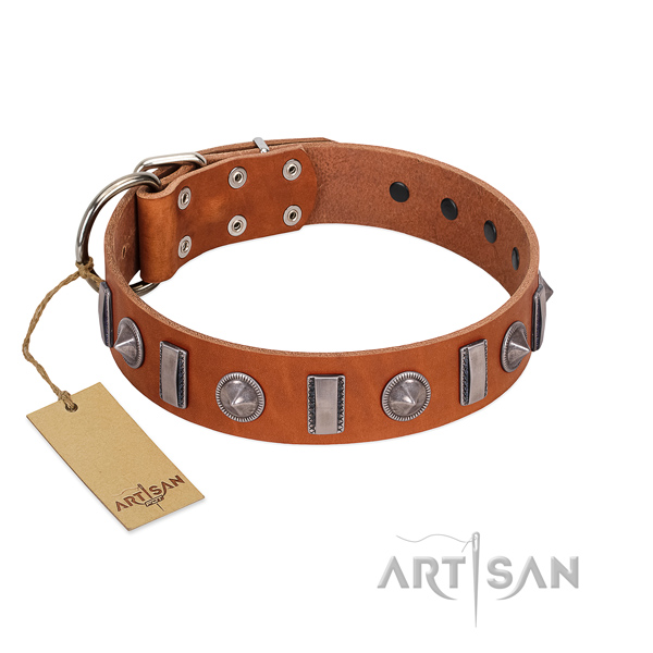 Top notch natural leather dog collar with adornments for handy use