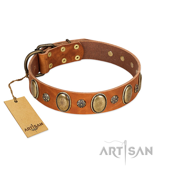 Comfy wearing high quality leather dog collar with decorations