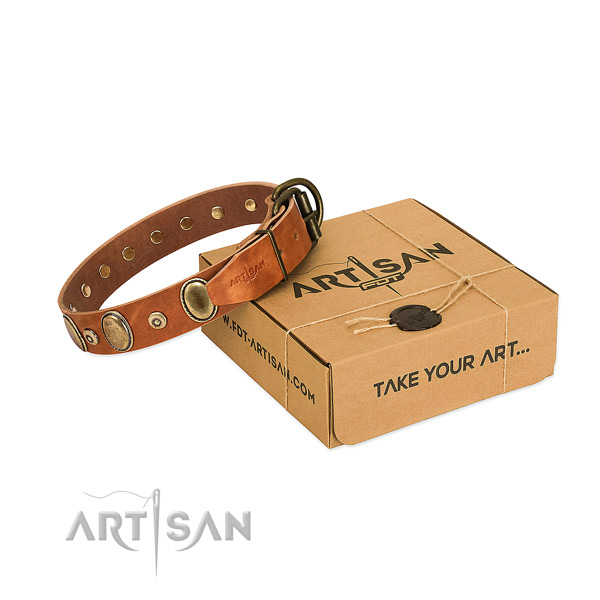 Top rate natural leather collar handmade for your pet