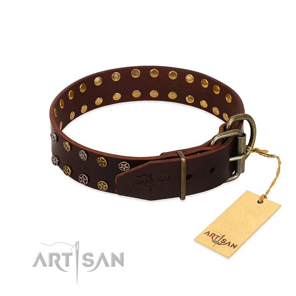 Comfy wearing full grain genuine leather dog collar with unusual embellishments