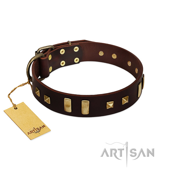 Genuine leather dog collar with rust resistant traditional buckle