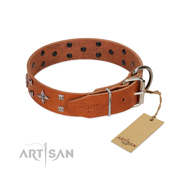 Incredible full grain genuine leather collar for your dog everyday walking