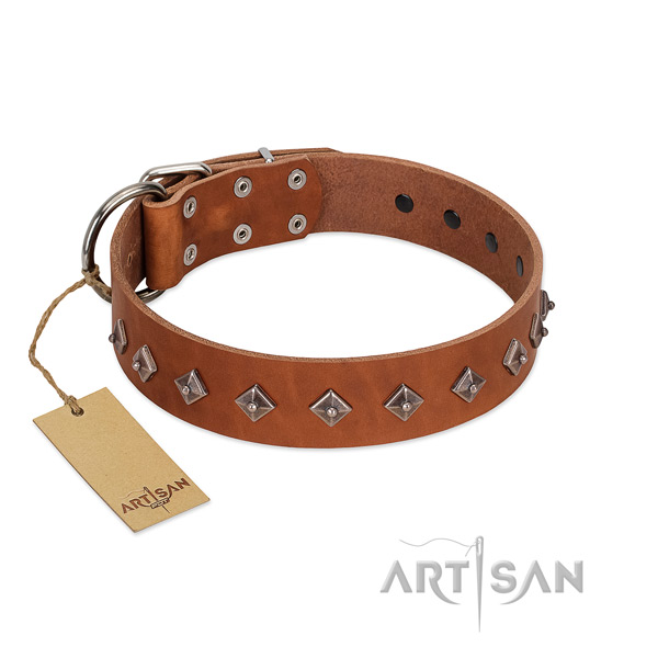 Natural leather dog collar with awesome embellishments handcrafted doggie