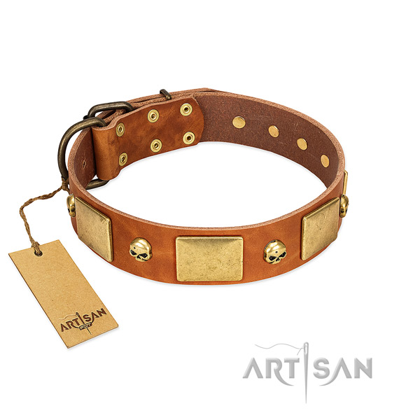 Soft to touch leather dog collar with corrosion proof decorations