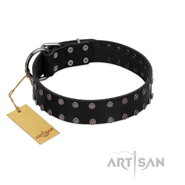 Comfy wearing natural leather dog collar with unique studs