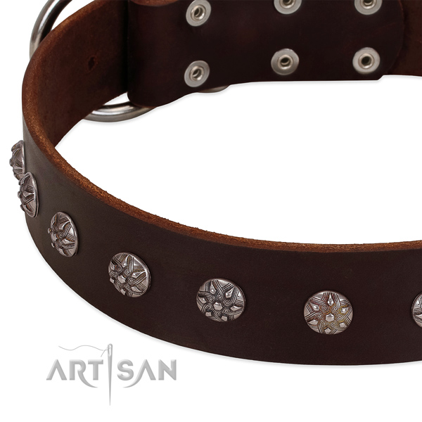 Gentle to touch genuine leather dog collar with adornments for your pet