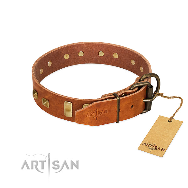 Quality full grain genuine leather dog collar with corrosion proof D-ring