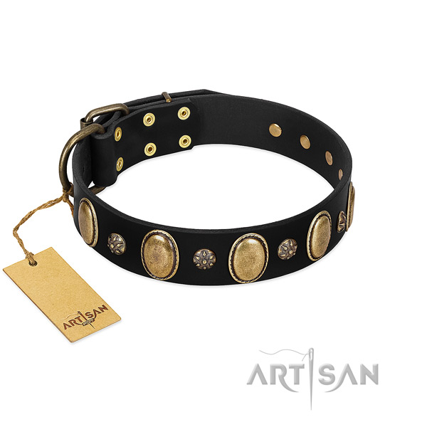 Daily use best quality full grain leather dog collar with studs