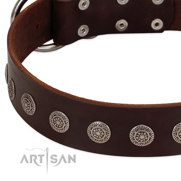 Remarkable dog collar of natural leather with adornments