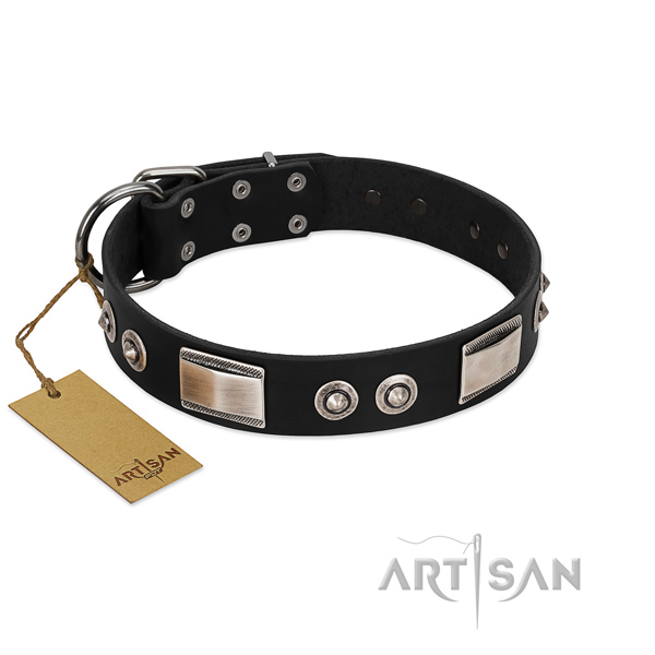 Stylish design collar of leather for your four-legged friend