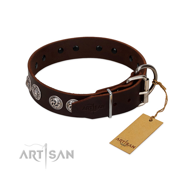 Extraordinary genuine leather collar for your canine everyday walking