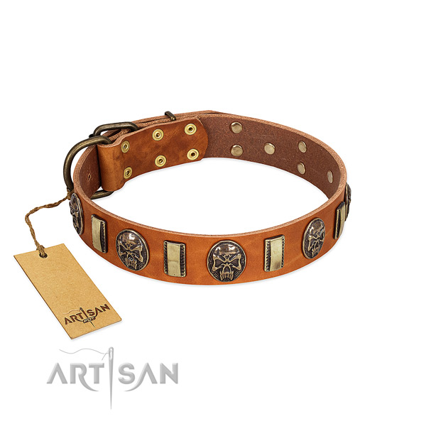 Easy wearing full grain genuine leather dog collar for stylish walking