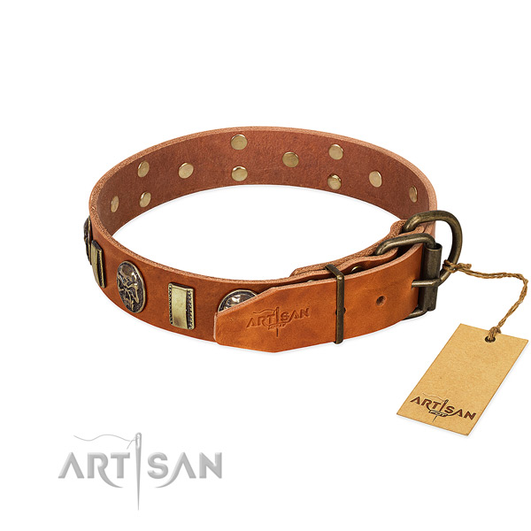 Full grain leather dog collar with corrosion proof traditional buckle and embellishments