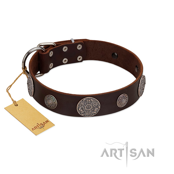 Remarkable full grain natural leather collar for your impressive pet