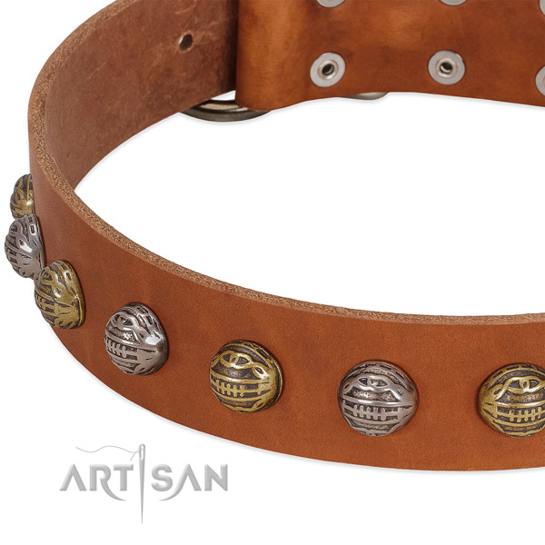 Corrosion resistant fittings on full grain natural leather collar for everyday walking your dog