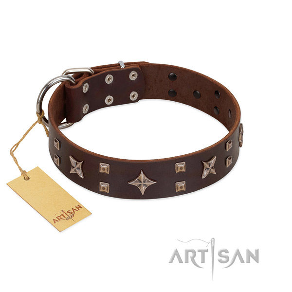 Daily walking full grain genuine leather dog collar with significant decorations