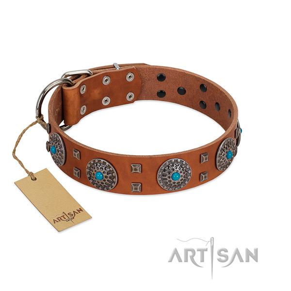 Daily use genuine leather dog collar with awesome embellishments