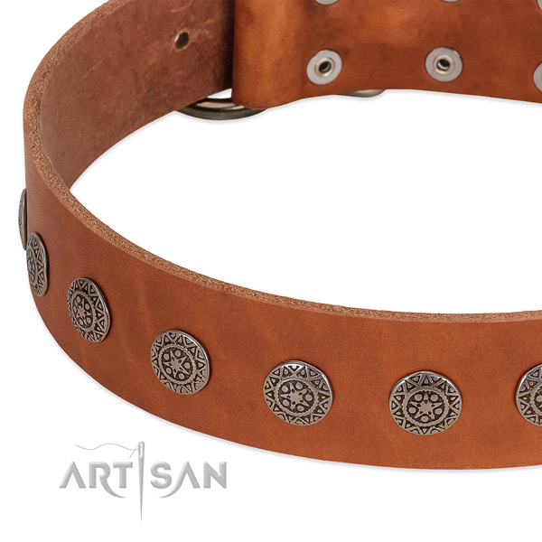 Extraordinary collar of leather for your four-legged friend