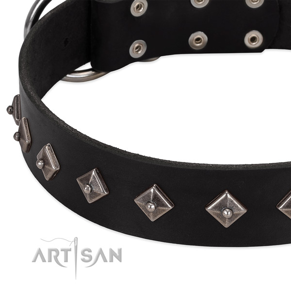 Unique collar of leather for your beautiful doggie