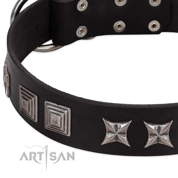 Walking natural leather dog collar with incredible embellishments