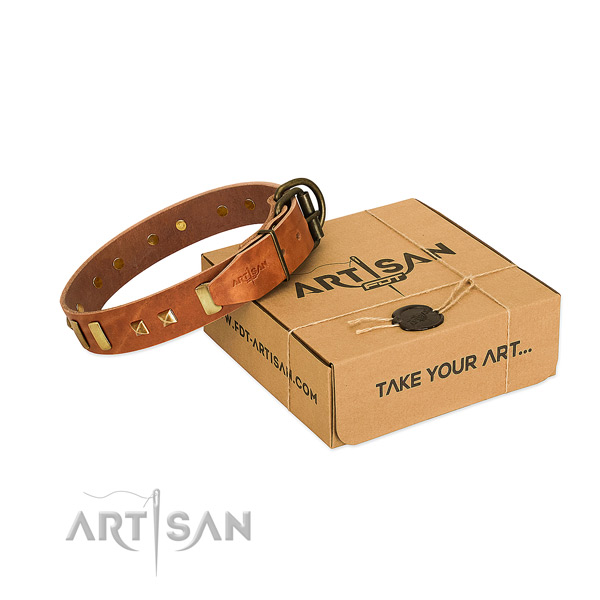 Soft to touch full grain leather dog collar with studs for daily use