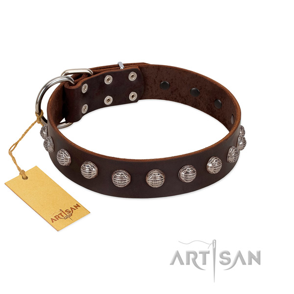 Rust resistant D-ring on unique full grain leather dog collar