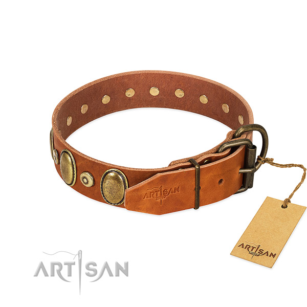 Corrosion proof fittings on stylish walking collar for your canine