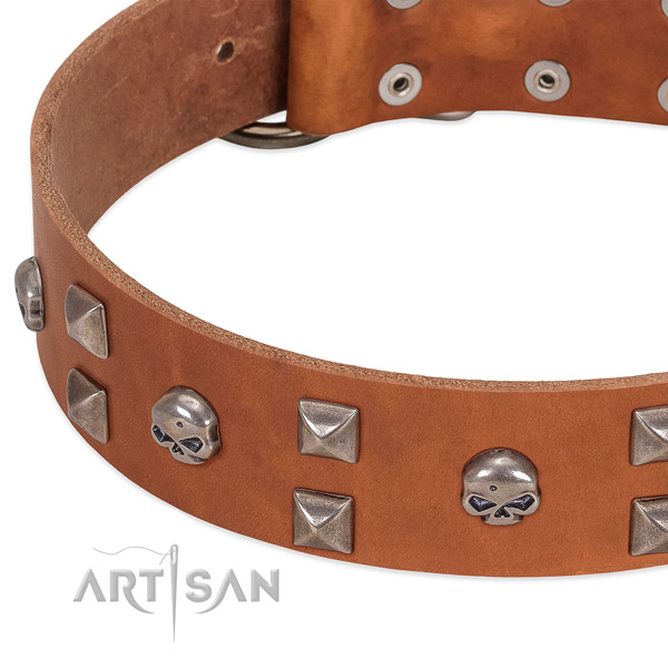 Strong genuine leather dog collar handcrafted for your doggie