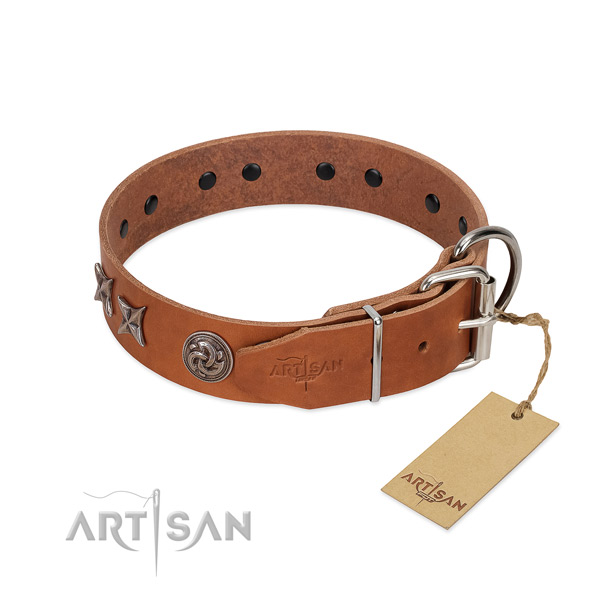 Top quality dog collar created for your beautiful canine