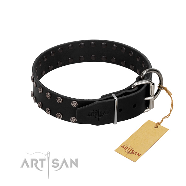High quality full grain leather dog collar with adornments for your doggie