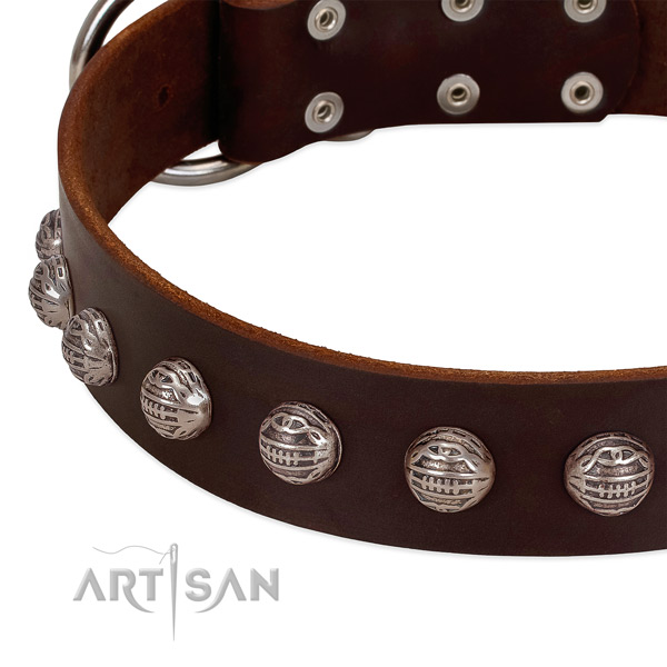 Full grain genuine leather collar with unique embellishments for your canine