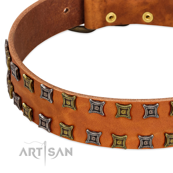 High quality full grain natural leather dog collar for your handsome doggie