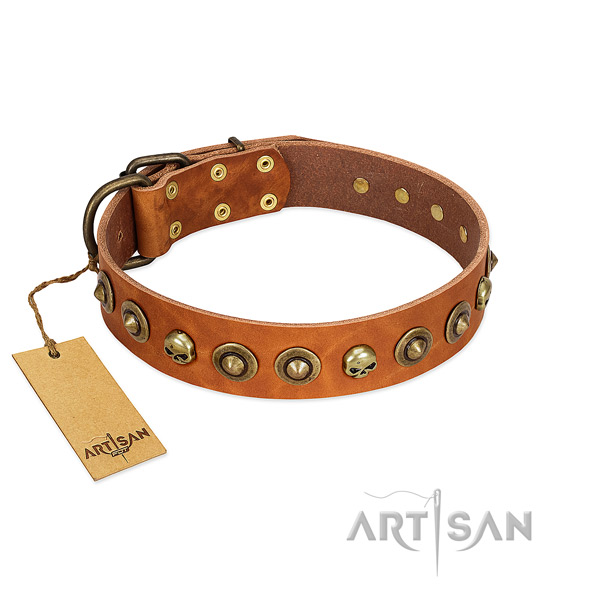 Genuine leather collar with impressive decorations for your canine