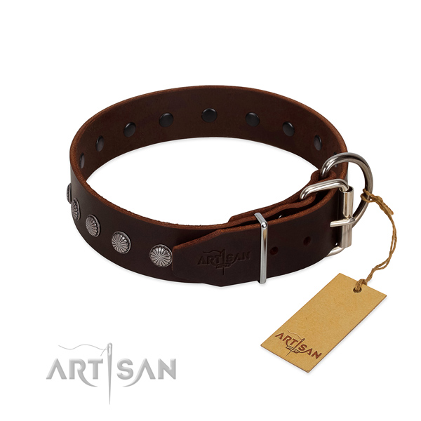 Designer leather collar for handy use your doggie